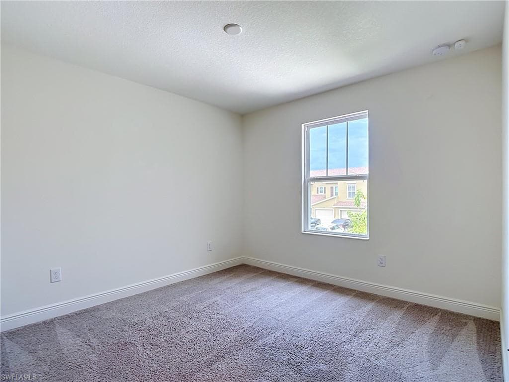 15121 Piping Plover CT 102-18