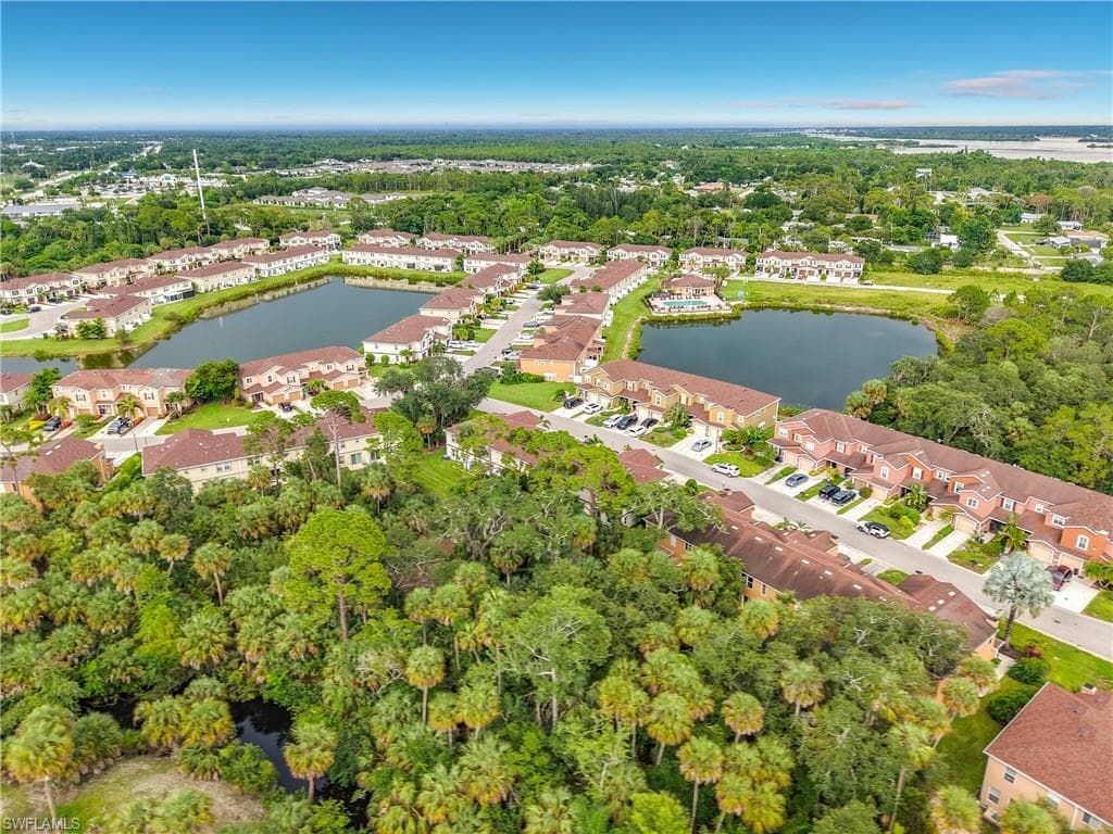 15121 Piping Plover CT 102-31