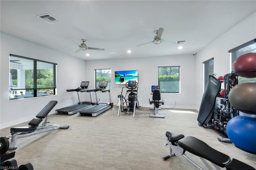 14788 Kingfisher LOOP-29