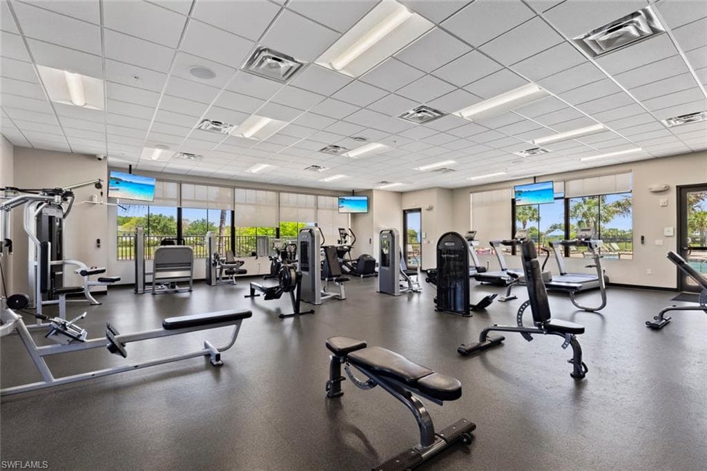 14641 Palamos CIR-43