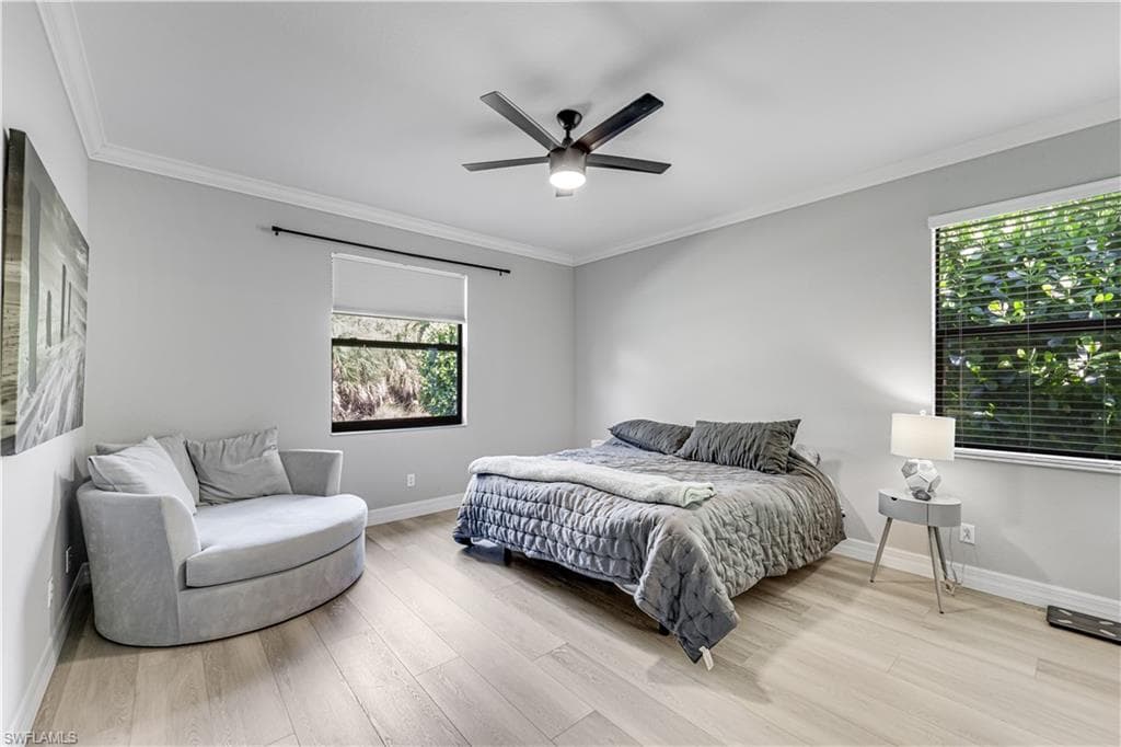 4331 Raffia Palm CIR-13