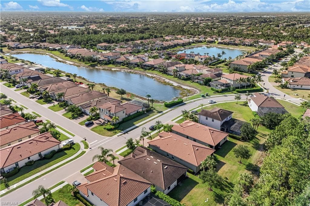 4331 Raffia Palm CIR-34
