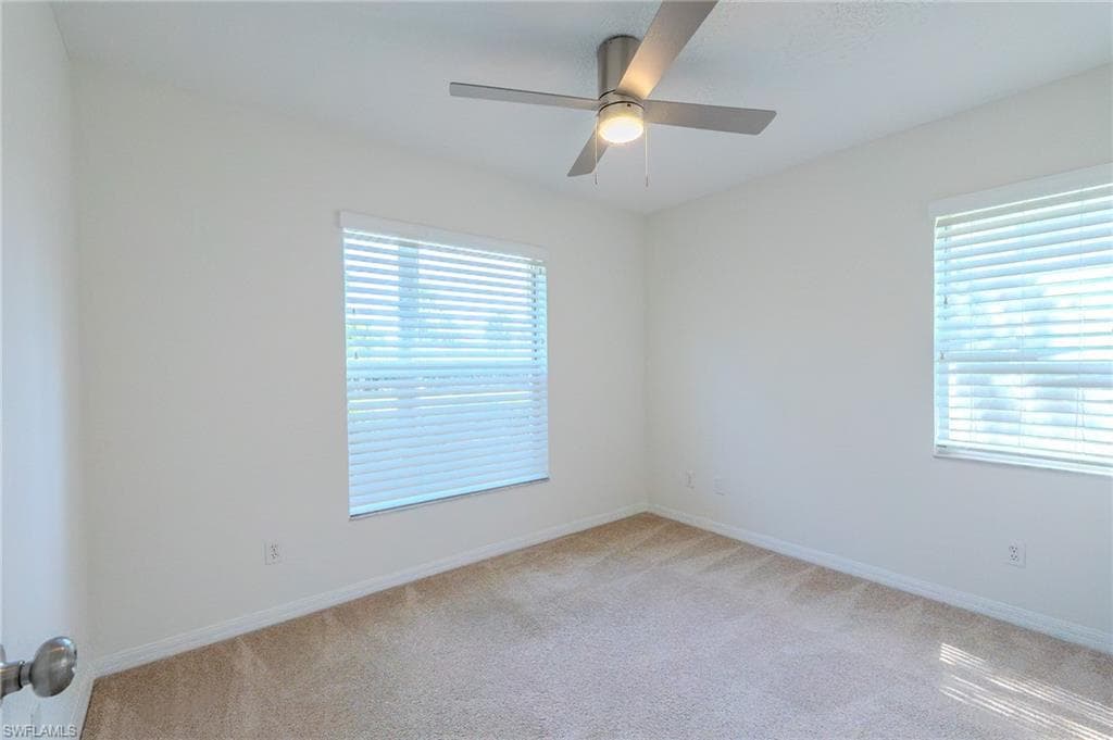117 Wading Bird CIR 101-5