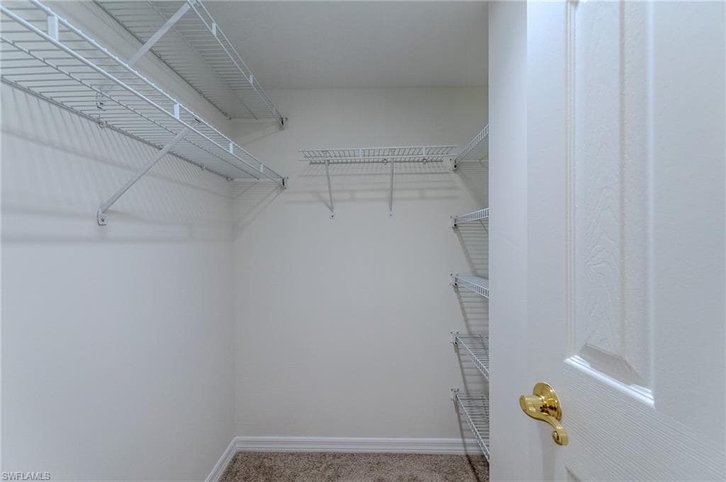 117 Wading Bird CIR 101-35