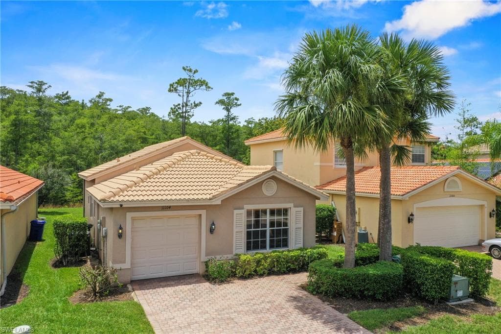 11104 Yellow Poplar DR-1