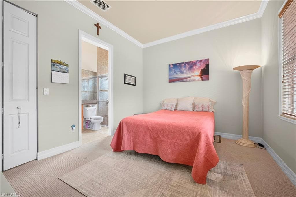 11104 Yellow Poplar DR-10