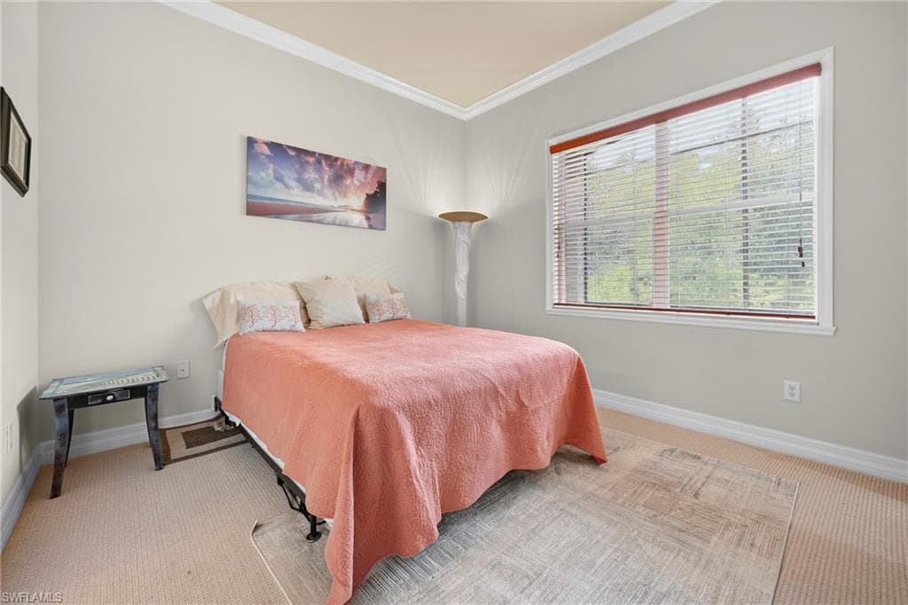 11104 Yellow Poplar DR-11