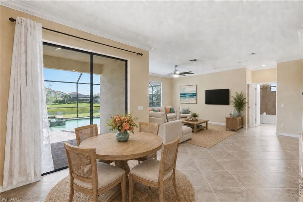 4381 Madagascar Palm WAY-12