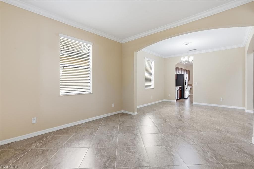 4381 Madagascar Palm WAY-7