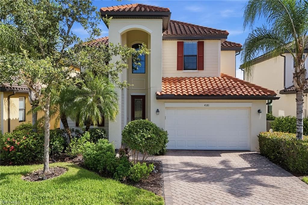 4381 Madagascar Palm WAY-1