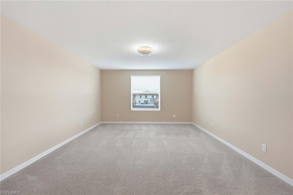 4381 Madagascar Palm WAY-24