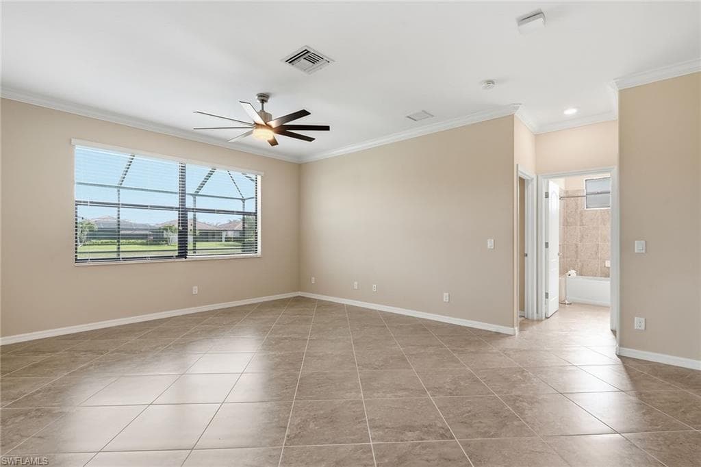 4381 Madagascar Palm WAY-14