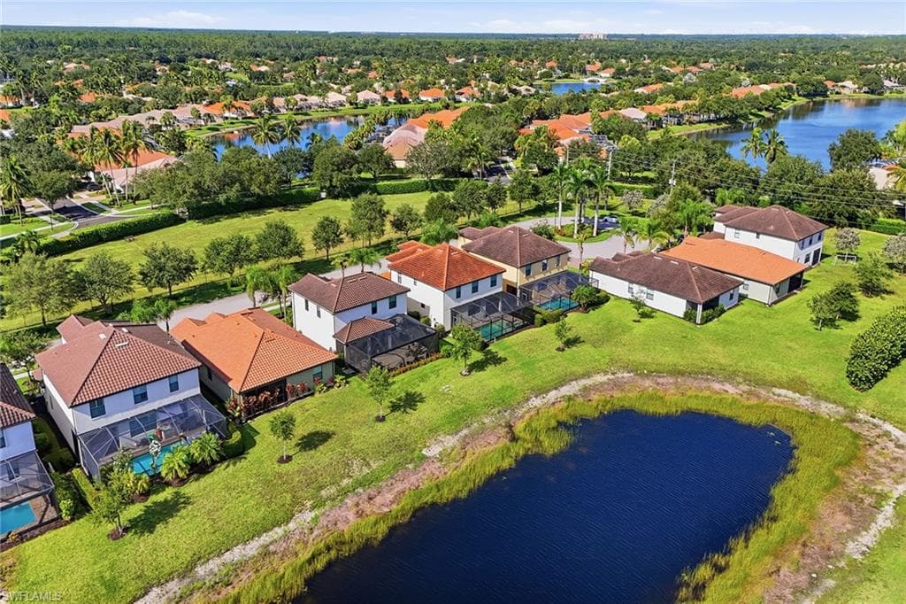 4381 Madagascar Palm WAY-40