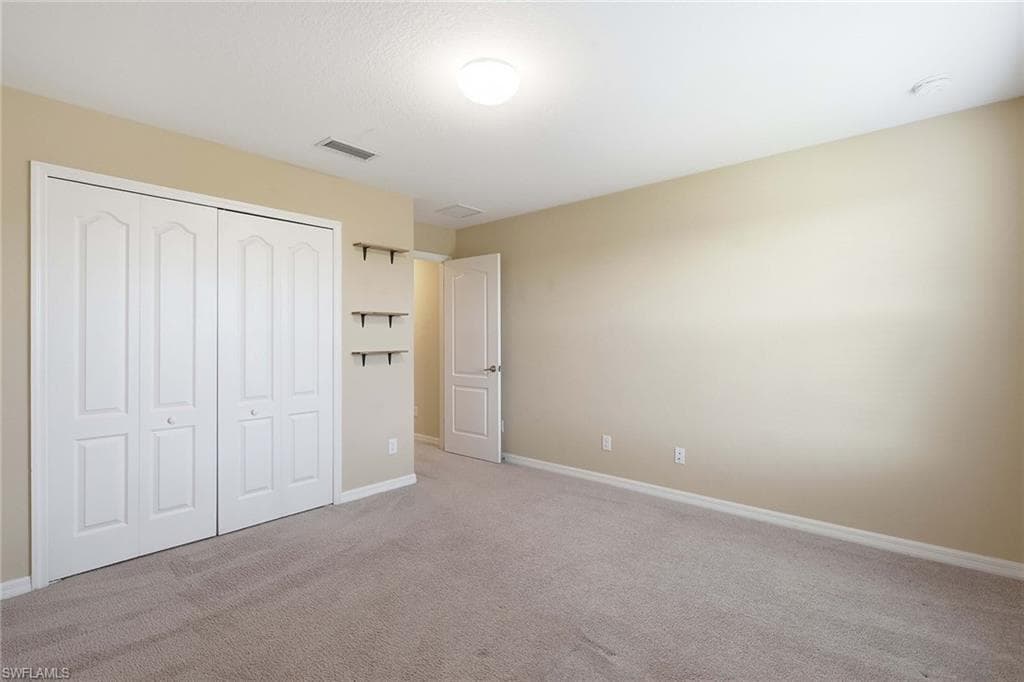 4381 Madagascar Palm WAY-31