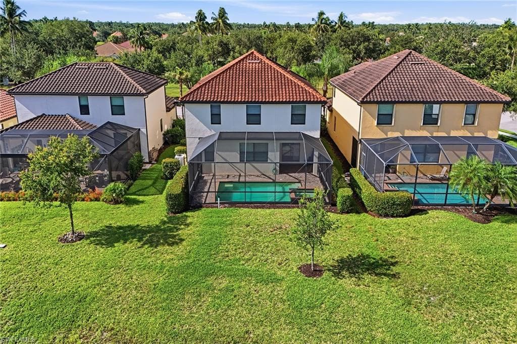 4381 Madagascar Palm WAY-39