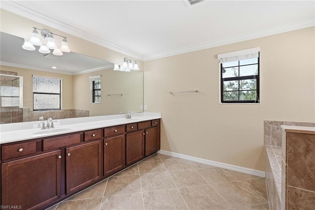 4381 Madagascar Palm WAY-29