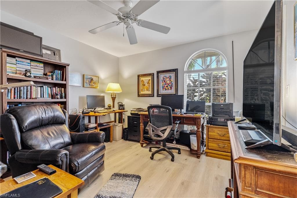 17761 Pineapple Palm CT-16