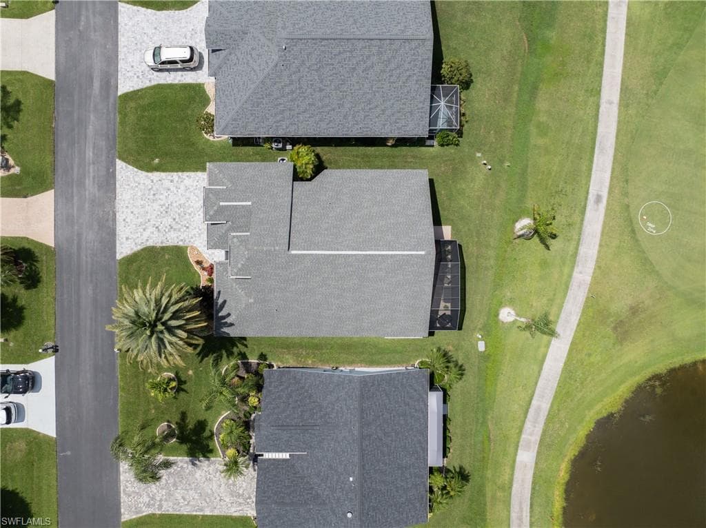 17761 Pineapple Palm CT-7