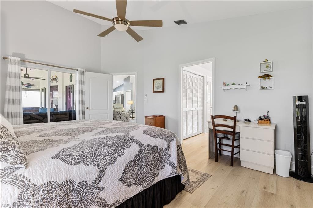 17761 Pineapple Palm CT-20