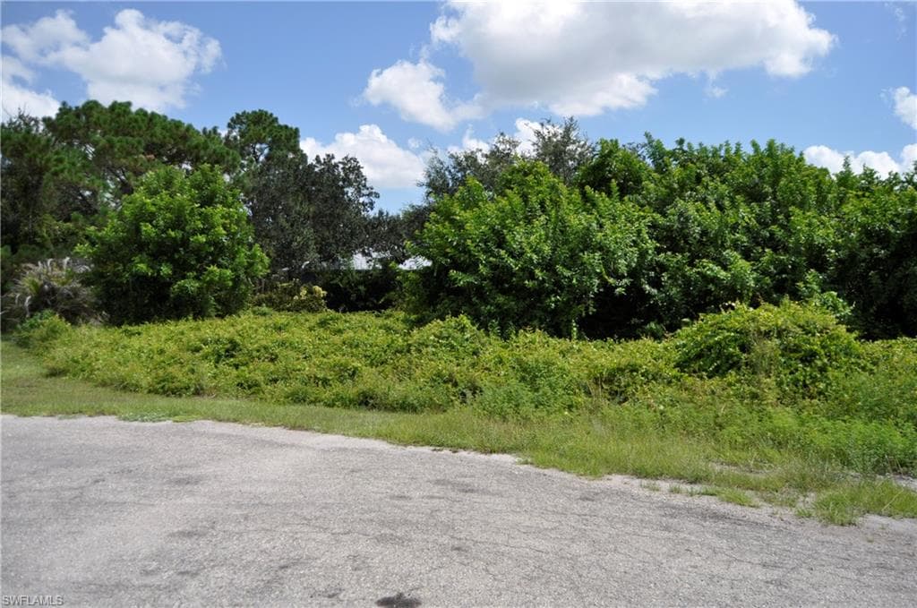 1109 Bard CT-3