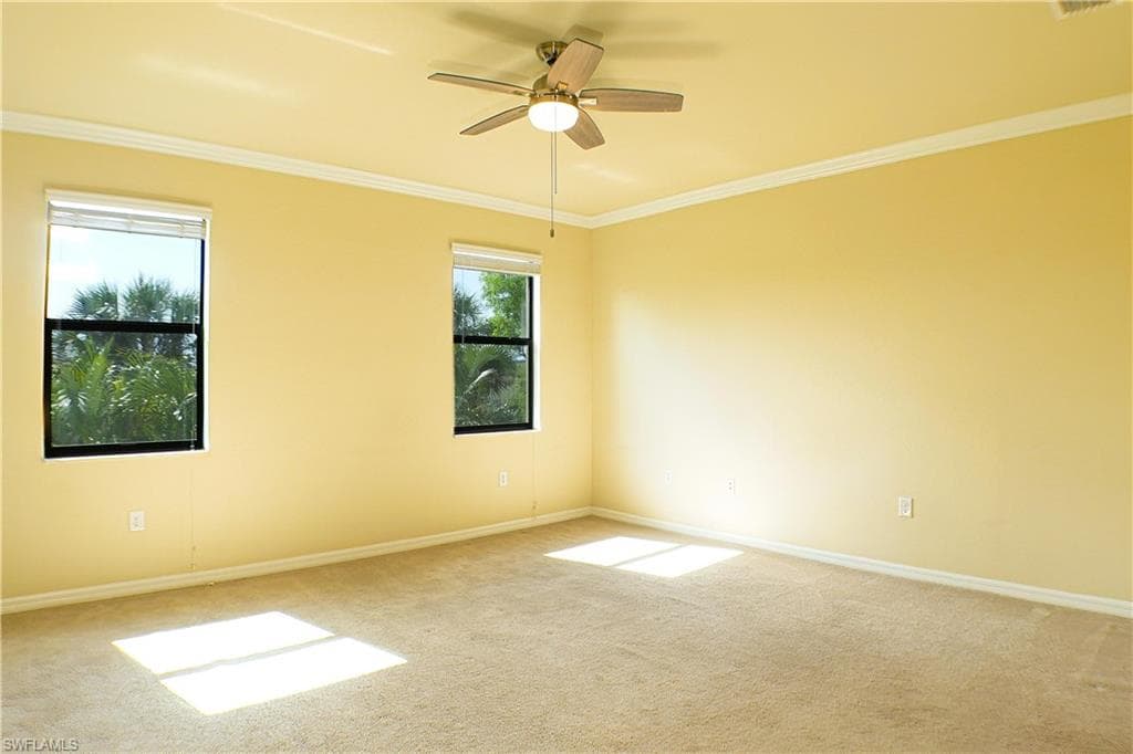 14688 summer rose WAY-13
