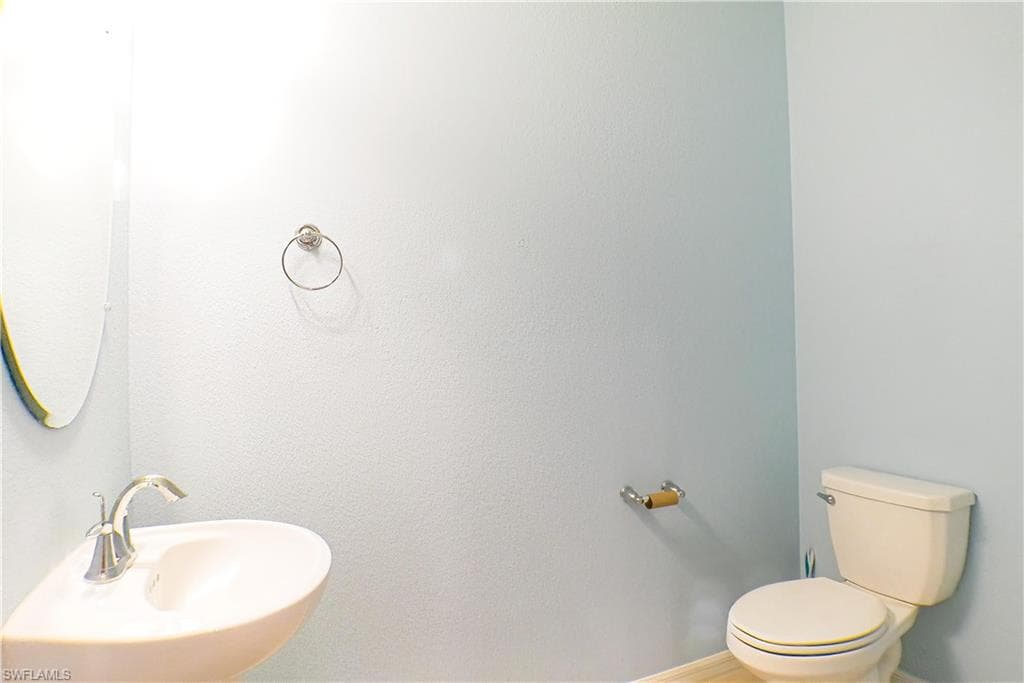 14688 summer rose WAY-10