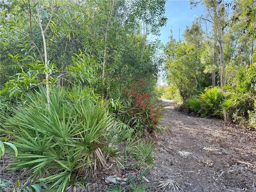 Guava AVE-2