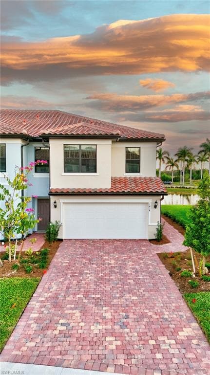 1424 Weeping Willow CT-23