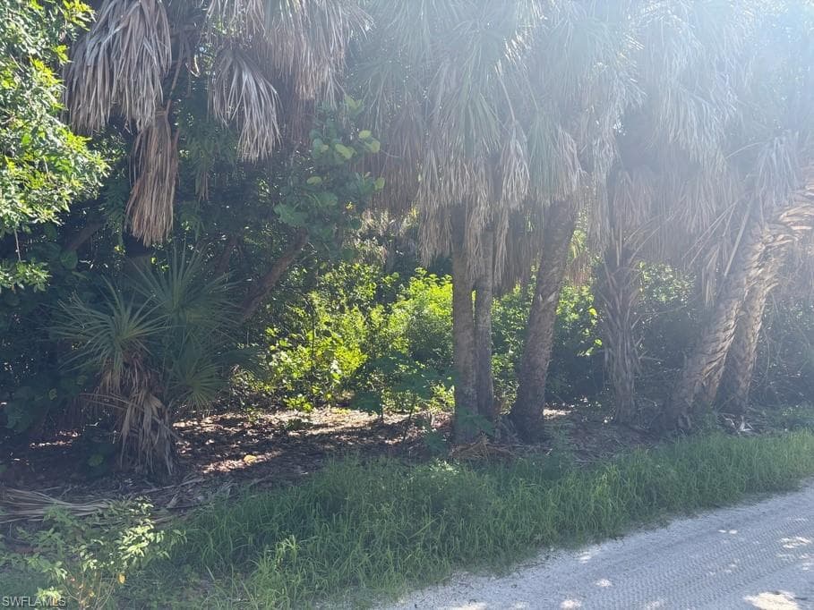 4520 Smugglers DR-4